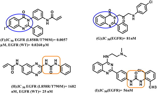 Figure 2. Reported 2,3‐disubstituted quinazolinones or urea-containing compounds with significant inhibitory activity against EGFR TK.