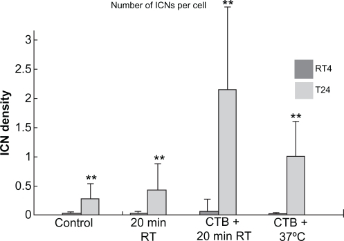 Figure 2 Summary statistics of changes in intercellular membrane nanotube (ICN) densities of treated RT4 and T24 cell lines. The control case was not treated. Note that both 20 minutes at room temperature (RT) and cholera toxin B (CTB) treatments significantly (P < 0.01**) increase the ICN density among T24 cells compared with among RT4 cells.Note: Data are means ± standard deviation.