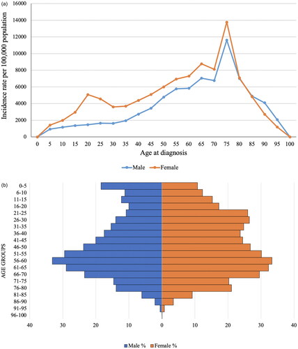 Figure 2. Age- and sex-specific incidence rate of CKD: (a) per 1,000,000 population for the years 2014–2020; (b) age pyramid.