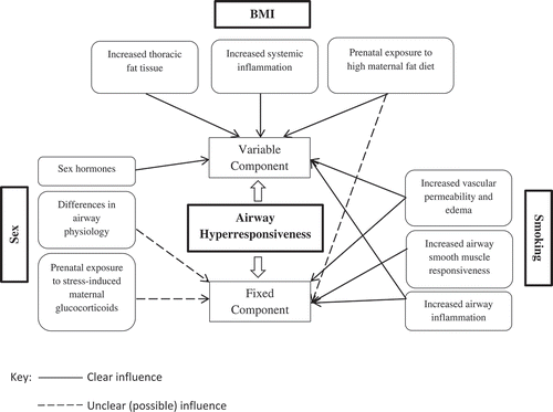 Figure 1. Schematic presentation of the relationship between sex, BMI, smoking and AHR.