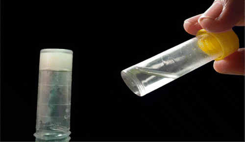 Figure 2. Sol form (right) and developed hydrogel disc (left).