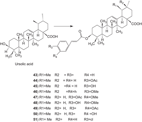 Scheme 8.  Synthesis of cinnamate-based esters of ursolic acid.