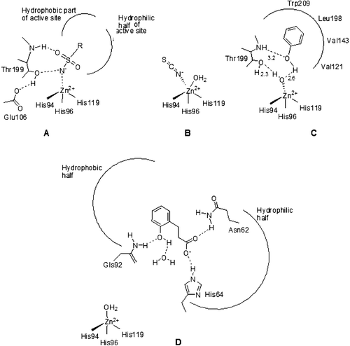 Figure 1.  Schematic representation for the three main CA inhibition mechanisms: (A) Sulfonamides (and their isosteres, sulfamate, and sulfamide) substitute the fourth zinc ligand and bind in tetrahedral geometry of the metal ionCitation12; (B) Inorganic anion inhibitors (thiocyanate as an example) add to the metal ion coordination sphere leading to trigonal bipyramidal adductsCitation12; (C) Phenols anchor to the Zn(II) coordinated water molecule/hydroxide ionCitation13; (D) Coumarins (hydrolyzed in situ to 2-hydroxycinnamic acids) occlude the entrance of the active site cavity, interacting both with hydrophilic and hydrophobic amino acid residues. The inhibitor does not interact at all with the catalytically crucial Zn(II) ion which is coordinated by three His residues and a water moleculeCitation10,Citation11.