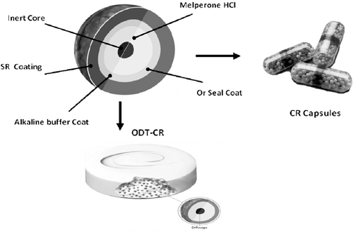 Figure 4.  Schematic of SR bead (Diffucaps® bead comprising an inert core sequentially coated with a drug layer, a protective seal coat, an alkaline buffer layer, and an outer SR polymer coat).and CR Capsules and ODT tablet comprising SR beads.