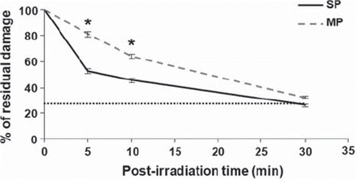 Figure 2. Fast repair of radiation-induced DNA damage in SP cells. Following gamma irradiation (4 Gy), SP cells exhibited a faster repair of DNA damage than MP cells as measured by the alkaline comet assay. The level of damage in non-irradiated cells (dotted line) was similar for both cell populations. Data are the mean values + / − SEM (standard error of the mean) of three independent experiments. Asterisks indicate a significant difference (p < 0.05). SP, side population; MP, main population.