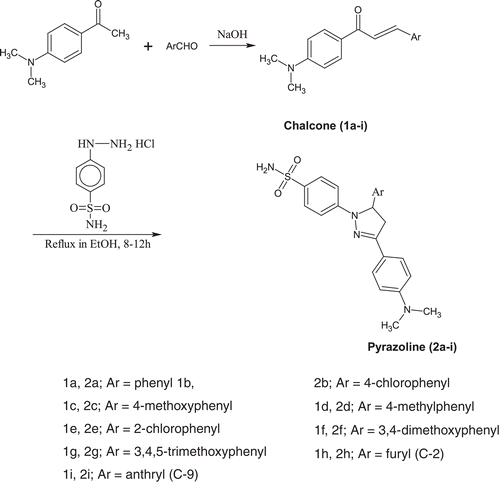 Scheme 1.  Synthesis of pyrazolines bearing benzenesulfonamide moiety.