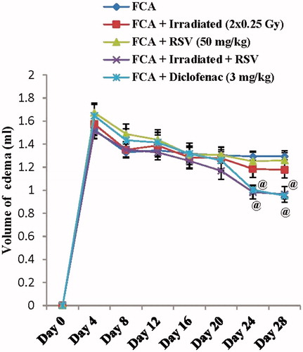 Figure 2. Effect of low dose radiation exposure (2 × 0.25 Gy, days 14&21) and RSV (50 mg/kg) administration on the paw volume in FCA-induced arthritic rats. RSV and diclofenac were given orally for two weeks started from day 14. Results are expressed as mean volume of edema ± SEM (n = 8/group). @p < .05 compared to FCA group.