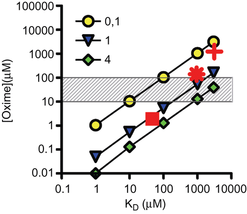 Figure 5.  Double-logarithmic plot showing the relationship between oxime concentration (µM) and dissociation constant (KD in µM). Oxime concentrations necessary to obtain 40% reactivation of inhibited acetylcholinesterase within 10 min were calculated according toCitation17 for three different oxime reactivity constants (kr) of 0.1, 1 and 4 min−1. The hatched area resembles the range of clinically used oxime concentrations. In addition, necessary oxime concentrations of selected oximes and organophosphorus compounds were included using measured reactivation rate constants (cf. Table 2): Cyclosarin and pralidoxime (+), obidoxime (*), and HI-6 (▪).