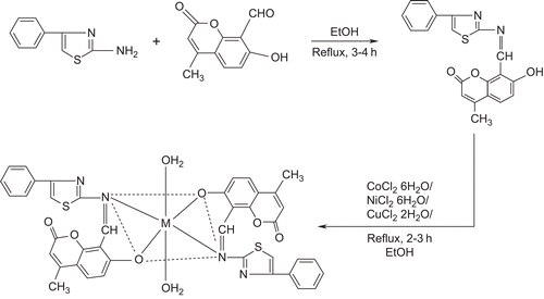 Scheme 1.  Synthesized metal complexes.