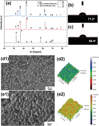 Figure 1. (a) XRD patterns of NbO containing coating (sample N) in comparison with that of plain PEO coated sample (sample P) and base metal (sample B). (b, c) The water droplet images and contact angles of the sample P and sample B, respectively. (d1, d2) SEM micrograph and 3D optical profile of the sample P, respectively. (e1, e2) SEM micrograph and 3D optical profile of the sample N, respectively.