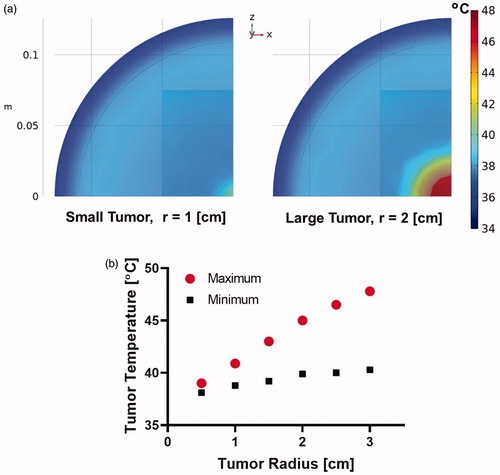 Figure 4. (a) Representative temperature distribution for tumor sizes with spherical radius of 1 cm and 2 cm, and (b) maximum and minimum tumor temperature as a function of tumor radius in human scale computational model after 20 min of MNPH treatment.