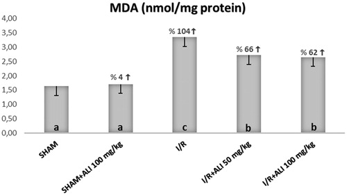 Figure 3. Effect of aliskiren treatment on MDA levels in the rats’ kidney tissues. ALI: aliskiren, I/R: ischemia/reperfusion. Notes: Means in the same column by the same letter are not significantly different to the test of Duncan (p = 0.05). Results are means ± SD.