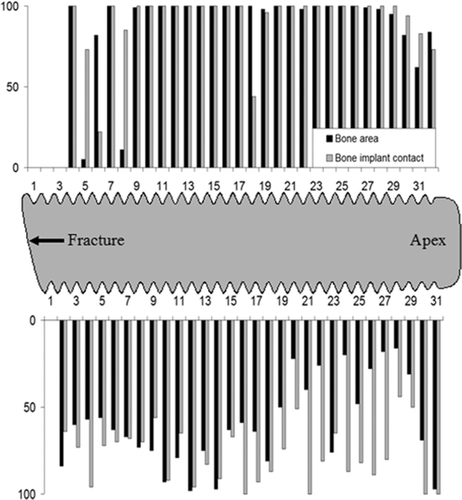 Figure 7. The distribution of bone area within threads (black bars) and bone-implant contact (gray bars) along the implant threads from fracture zone to apex. The axis est threads. B. A large amount of bone-implant contact represents the amount in percentage, within the threads closest to the implant fracture.