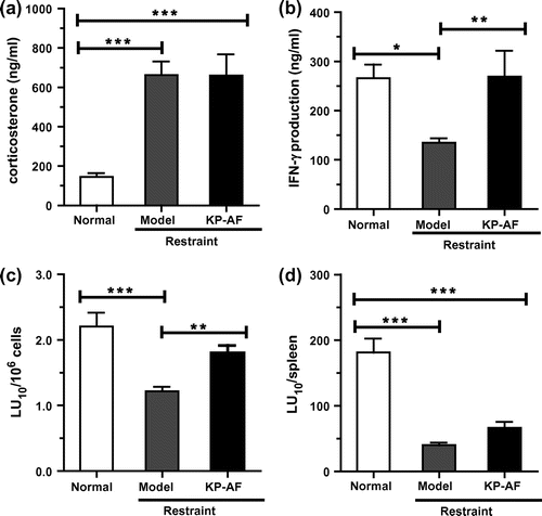 Fig. 6. Effect of KP-AF on plasma corticosterone levels, IFN-γ level and NK cell cytotoxicity of restraint-stressed mice.