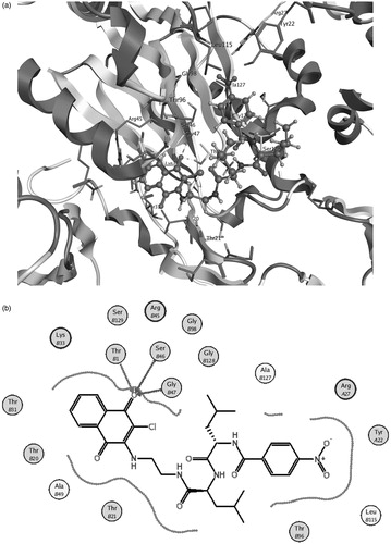Figure 3. Molecule 5 in the β1 binding pocket (a) and a schematic diagram of the inhibitor–protein interactions (b).