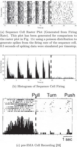 Figure 11. Comparison of a simulated sequence cell to a recorded pre-SMA cell. In both the simulated and recorded data, we see that the cell has strong firing before but not during a specific sequence of actions (a dashed line marks the onset of this sequence). However, the simulated data displays periodicity, unlike the recorded data. This is discussed in the main text. The proposed model is rate-coded and so the raster plot (a) was generated from recorded firing rates using a Poisson distribution