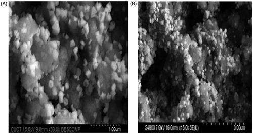Figure 4. SEM photographs of (a) dynasan118 SLNs (at magnification ×30k) (F1) and, (b) GMS-SA SLNs (at magnification ×15k) (F10).