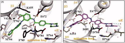 Figure 5. Docking of Imatinib (A) and DDR1-1N-1 (B) (type II DDR1 inhibitors) in the binding site of DDR1 kinase catalytic domain in 3D style.