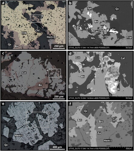Figure 10. Reflected light photographs (a, c, e) and BSE images (b, d, f) showing Au–Cu mineralisation at Starra 222. (a, b) Bornite replacing chalcopyrite is strongly associated with Au and Au-tellurides (MH_STA_041). (c, d) Calcite veins from the hanging wall to the Starra 222 ore zone carrying chalcocite, bornite, native bismuth and wittichenite (Cu3BiS3, MH_STA_028). (e, f) Free gold from porous hematite ironstone. Sulfides are absent in that assemblage (MH_STA_026). Mineral abbreviations: Bn, bornite; Brt, barite; Cal, calcite; Cav, calaverite; Ccp, chalcopyrite; Cct, chalcocite; Hem, hematite; Mag, magnetite; Ms, muscovite; Py, pyrite; Qz, quartz; Syl, sylvanite; Wit, wittichenite.