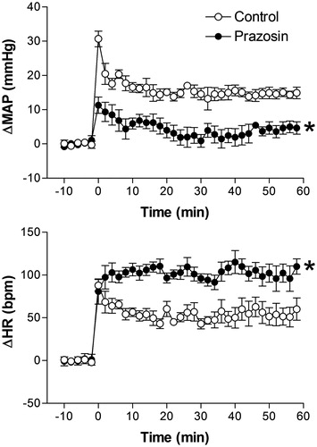 Figure 4. Mean arterial pressure (ΔMAP) and heart rate (ΔHR) changes with time during restraint in the vehicle-treated control group (1 mL/kg, i.v., n = 6), and prazosin-treated group (0.5 mg/kg, i.v., n = 6). Drugs were injected at t = −10 min. The onset of restraint is at t = 0. *Significantly different from control. p < 0.05; two-way ANOVA.