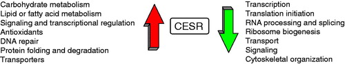 Figure 1. Biological processes affected by diverse environmental perturbations. Arrows pointing up- and downwards are used to indicate gene induction and repression respectively. CESR, core environmental stress response.