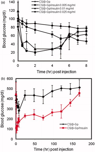 Figure 5. Blood glucose profiles after subcutaneous dorsal injection of CS/β-Gp/insulin with different insulin concentrations into (a) normal mice [CS 2% (w/v), β-Gp 8% (w/v)] (b) diabetic mice [CS 2% (w/v), β-Gp 8% (w/v), insulin 0.01 mg/ml]. Data are mean ± SD (n = 4).