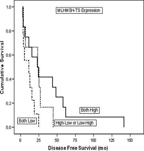 Figure 2.  TS-MMR expression and disease free survival (DFS) in univariate (Kaplan-Meier) analysis.