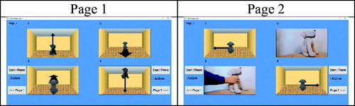 Figure 3. Video-based assessment: The two pages.