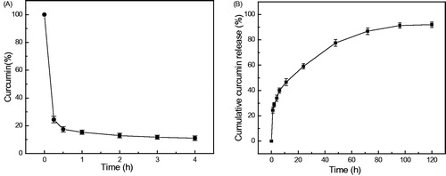Figure 3. Curcumin release profile of Curc-NS. (A) Stability of free curcumin in PBS at 37 °C. (B) Release of curcumin from Curc-NS in PBS at 37 °C. Data are presented as mean ± standard error of experiments performed in triplicate.