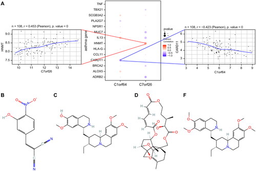 Figure 6. Correlation analysis of asthma regulatory genes: (A) Pearson correlation analysis of asthma disease regulatory genes and key genes, where blue represents negative correlation and red represents positive correlation. (B) 2D structural diagrams of four potential therapeutic drugs.