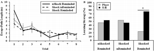 Figure 6.  Results from a dual-solution VPWM task designed to examine (A) learning on training trials and (B) learning strategy on a probe trial. Rats exposed to electrical footshock (IA training trial) and reminded of the stressor (IA retrieval trial) 30 min prior to the probe trial preferred a stimulus-response (S-R) strategy compared with a place strategy (*p < 0.05). “n” denotes rats that were not administered a footshock during the IA training trial or not reminded of the shock (IA retrieval trial). Group sizes were as follows: non-shocked/reminded (n = 15), shocked/non-reminded (n = 15), shocked/reminded (n = 17). Learning during training trials, which is represented as group mean ± SEM, was analyzed by repeated measures ANOVA. Learning strategy preference, which is represented categorically, was analyzed by χ2 analyses.