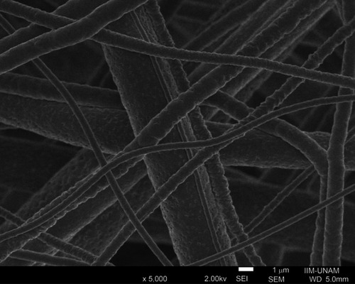 Figure 3 Electrospun porous fibers.