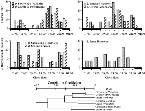 FIGURE 1. Top: Four histograms depict distribution according to clock hour of circadian acrophases (φs) of seven different categories of variables. Upper left histogram: 37 physiologic and 32 cognitive performance variables; Upper right histogram: 14 serum inorganic and 25 serum organic variables; Lower left histogram: 18 circulating blood cell and 15 serum enzyme variables; Lower right histogram: 27 serum hormone variables. Each vertical column indicates the proportion of circadian φs per variable category occurring according to clock-hour time. Bottom: Dendrogram depicts by line segment length correlation of the distribution of circadian φs between different pairings of the specified seven different categories of variables: the shorter the line segment length, the poorer the correlation and the greater the dissimilarity of the distribution of φs between designated categories of variables; the longer the line segment length, the stronger the correlation and the greater the similarity of the φs distribution between designated categories of variables. Circadian φs of the physiologic and cognitive categories are most strongly correlated (r = +0.8) (After Ticher et al., Citation1995; Reinberg et al., Citation2015).