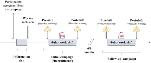 Figure 1. Main steps of the NanoExplore cohort construction and follow-up. An information visit conducted beforehand will serve to collect company-related information, inform and enroll volunteer participants into the cohort. Participants’ data on exposure and health outcomes will be collected during the field campaigns. Both the initial (‘recruitment’) and 6 or 9-month follow-up campaigns will be conducted following similar procedures. Airborne exposure to ENMs (symbol: plant) will be monitored during a 4-day work shift. Biological matrices (i.e. EBC, exhaled air and urine; symbol: lungs) for biomarker quantification will be sampled in pre- and post-shift.