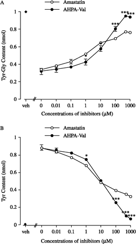 Figure 2 Effects of amastatin and AHPA-Val on the amounts of Tyr-Gly and its hydrolysis product Tyr in striatum membrane preparations, respectively. Each point represents the mean and vertical bar indicates the S.E.M. of 6 ∼ 8 preparations. For the “veh”, we incubated Tyr-Gly in Tris-HCl buffer without protein and APNIs. Vs. respective concentration of amastatin, * p < 0.05, *** p < 0.001 (unpaired t-test).