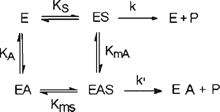 Scheme 1 Reaction scheme for non-essential activation; Abbreviations are E—enzyme, S—substrate, A—activator, P—product.
