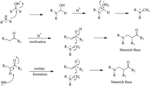 Figure 1. Mannich reaction under acidic conditions and basic conditions.