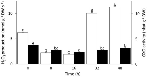 Figure 5. Changes in H2O2 production and OXO activity during Triticum aestivum seed germination and early seedling growth. White bars show the rates of H2O2 production (left axis) and black bars show OXO activity (right axis). Both variables were tested for significance using one-way ANOVA analyses followed by post-hoc Tukey's HSD test. Bars labelled with the same letter do not differ significantly (p-value ≤.05). Upper case letters are used for H2O2 production rates, and lower case letters for OXO activity. Data show means ± SE (n = 3 replicates of 25 seeds for H2O2 production; n = 4 replicates of 35 seeds for OXO activity).