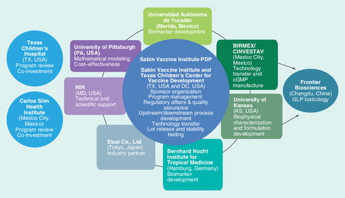 Figure 2. Partnership for the development of a human therapeutic Chagas disease vaccine.cGMP: Current good manufacturing practice; GLP: Good laboratory practice; PDP: Product development partnership.