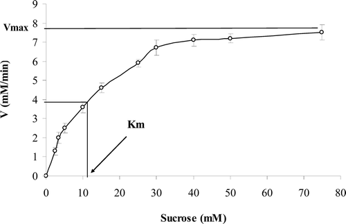 Figure 1.  Michaelis–Menten plot shows that above 30 mM sucrose concentration, the enzyme reaches to zero-order reaction.