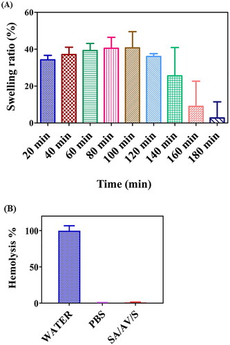 Figure 5. (A) Swelling ratio of SA/AV/S scaffold in PBS at different time intervals. (B) Haemolytic assay for SA/AV/S scaffold performed using human erythrocytes. Water and PBS treated with RBCs were used as positive and negative control, respectively.