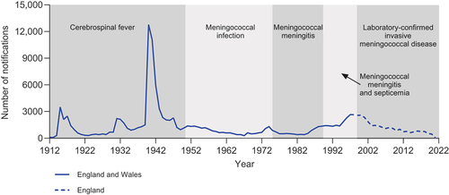 Figure 2. Number of cases of meningococcal disease during 1912 to 1998 in England and Wales and 1999 to 2021 in England. Sections indicate reporting terms during different periods. Adapted under the terms of the Creative Commons Attribution-Non Commercial license (https://creativecommons.org/licenses/by-nc/3.0/) from Christensen H et al. BMJ. 2014;349:g5725 [Citation92]. Data from 1912 to 1998 are from Ramsay M. Use of MLST in the epidemiology of meningococci (https://webarchive.Nationalarchives.gov.uk/ukgwa/20140714074352/http://www.Hpa.org.uk/webc/hpawebfile/hpaweb_c/1194947392421) [Citation91]. Data from 1999 through 2021 are from UK Health Security Agency. Laboratory confirmed cases of invasive meningococcal infection in England: annual report for 2021 to 2022 supplementary data tables (https://www.Gov.uk/government/publications/meningococcal-disease-laboratory-confirmed-cases-in-england-in-2021-to-2022) [Citation81], with 1998/1999 data used for 1999, 1999/2000 data used for 2000, etc.