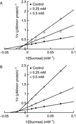Figure 3.  Kinetics analysis of sucrase inhibition by ginnalins B and C. Linewever-Burk plots for inhibitory activity of ginnalin B (A) and C (B) on intestinal sucrase.