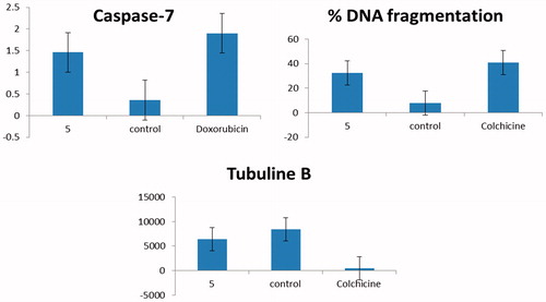 Figure 5. Graphical representation for Caspase-7 concentration (ng/ml) in treated breast cancer cells with compound 5 and untreated compared to doxorubicin and for % DNA fragmentation and IC50 (ng/ml) on tubuline B in comparison with colchicine.