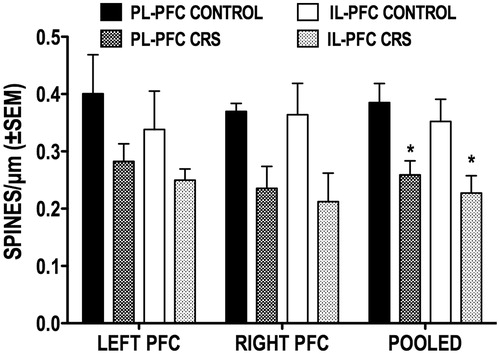 Figure 5. Effect of CRS on the overall spine density of callosal neurons located in the PL and IL subregions of the left and right PFC. Also shown are the pooled left and right hemisphere data for each subregion. *p < 0.05 versus corresponding control group.
