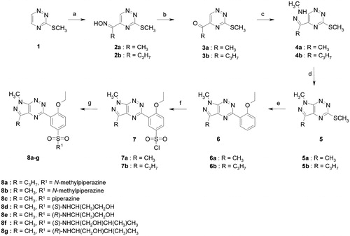 Scheme 1. Synthetic pathway to the sildenafil analogues (8a–m). Reagents and conditions: (a) CH3CH2CH2CH2NO2 (for R = C3H7) or CH3CH2NO2 (for R = CH3), KOH, DMSO, 2 h, 80–86%; (b) Na2S2O4, H2O/dioxane, rt, 12 h, 55–65%; (c) CH3NH–NH2, PTSA, EtOH, rt, 1 h, 50–55%; (d) method A: 10% HCl, EtOH, reflux, 1 h, 58–61%; method B: PTSA, 140 °C, 1 min, 61%; (e) ethoxyphenylboronic acid, Pd(PPh3)4, CuMeSal, THF, Ar, reflux, overnight, 75–80%; (f); ClSO3H, 0 °C to rt, 2 h, 75–95%; (g) appropriate amine, anhydrous MeCN, rt, overnight, 72–93%.