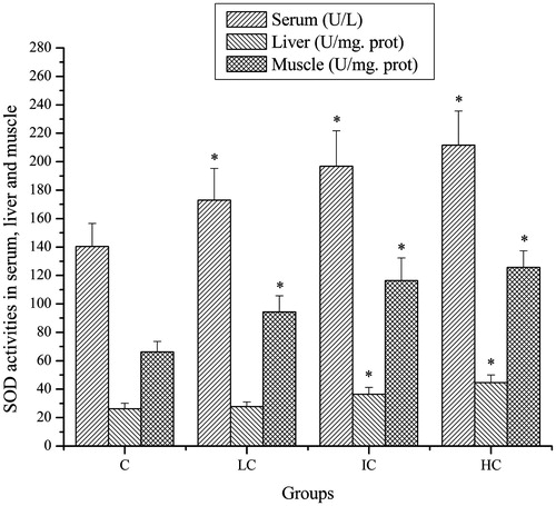 Figure 2. Effects of CSP on SOD activities in serum, liver and muscle of mice. Data are expressed as mean ± SD. CSP: polysaccharides from Cordyceps sinensis; C: control; LC: low-dose CSP treated (100 mg/kg); IC: intermediate-dose CSP treated (200 mg/kg); HC: high-dose CSP treated (400 mg/kg). *, p < 0.05 compared with C group.