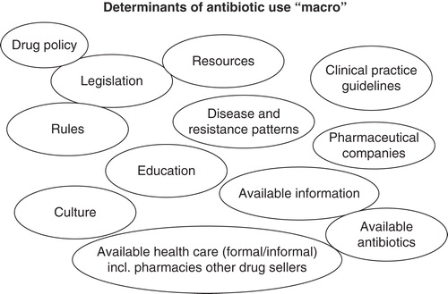 Figure 1. Factors influencing prescribing or dispensing decisions at the macro level.