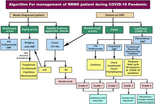 Figure 1 Algorithm of initiation and maintenance of DMTs in RRMS patients during COVID-19 pandemic.Citation106Abbreviations: COVID-19, coronavirus disease 2019; DMF, dimethyl fumarate; DMT, disease-modifying therapy; INF, interferon; JCV, John Cunningham virus; RRMS, relapsing–remitting multiple sclerosis.