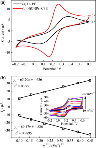 Figure 2. (A) CVs of the UCPE (a) and NiONPs–CPE (b) at scan rate 10 mVs–1, (B) the plot of the peak current vs. the square root of the scan rate for NiONPs‐CPE (inset: CVs at different scan rates) in 0.1 mol L–1 KCl solution containing 1 mmol L–1 Fe(CN)63–/4–.
